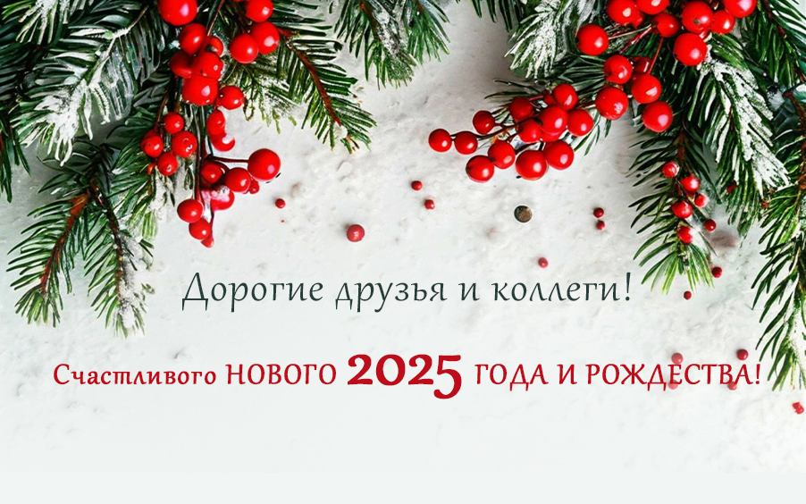 С наступающими Новым 2025 годом и Рождеством!